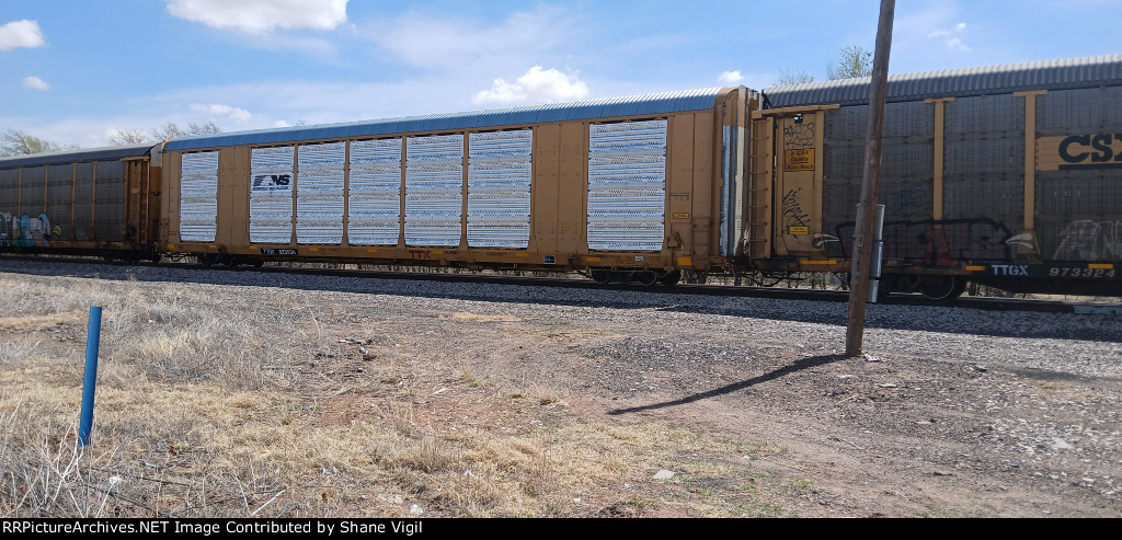 TTGX 823536